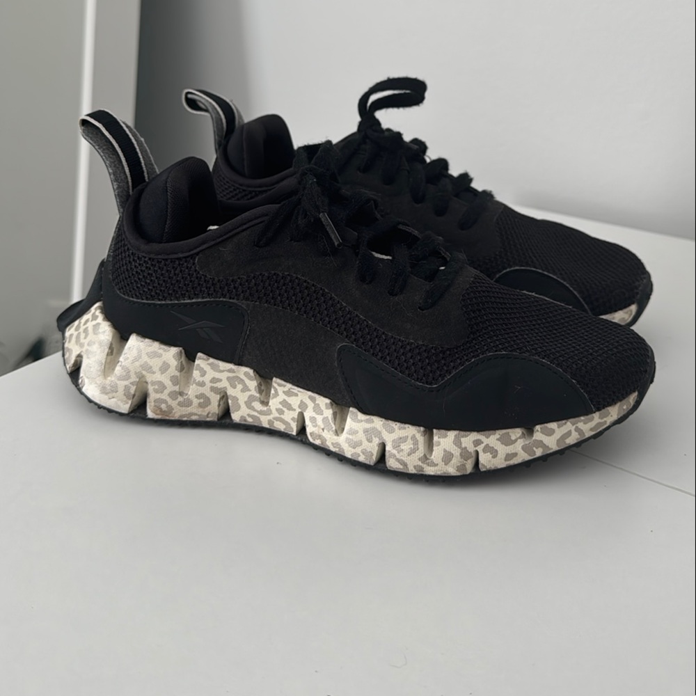 Reebok Women's Zig Dynamica Adventure Sneaker